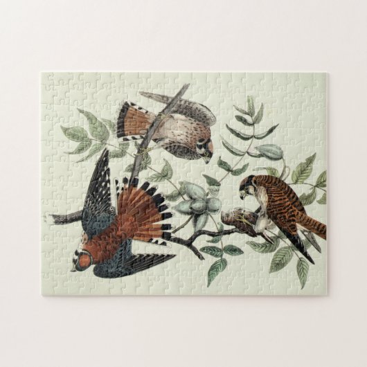 Sparrow-Falken Puzzle (Horizontal)