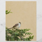 Sparrow Flyer (Vorne)