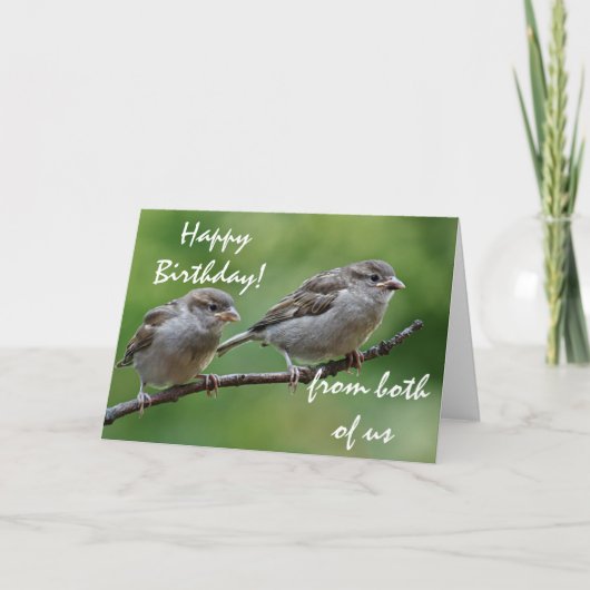 Sparrow-Foto Karte (Vorderseite)