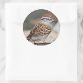 Sparrow-Foto Runder Aufkleber (Tasche)