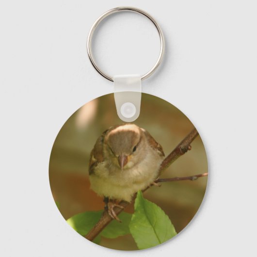 Sparrow-Foto Schlüsselanhänger (Vorderseite)