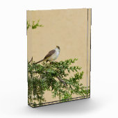 Sparrow Fotoblock (Links)