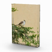 Sparrow Fotoblock (Rechts)