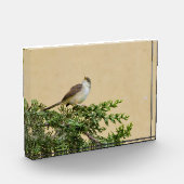 Sparrow Fotoblock (Links)