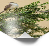 Sparrow Fotodruck (Ecke)