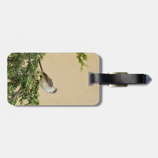 Sparrow Gepäckanhänger (Rückseite horizontal)