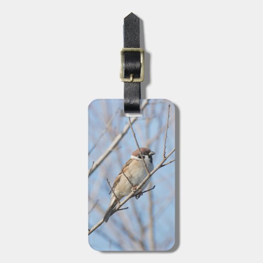 Sparrow Gepäckanhänger (Vorderseite vertikal)
