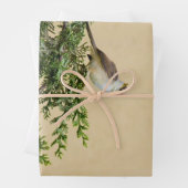 Sparrow Geschenkpapier Set (Beispiel)
