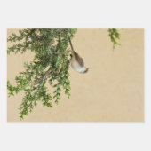 Sparrow Geschenkpapier Set (Vorderseite)