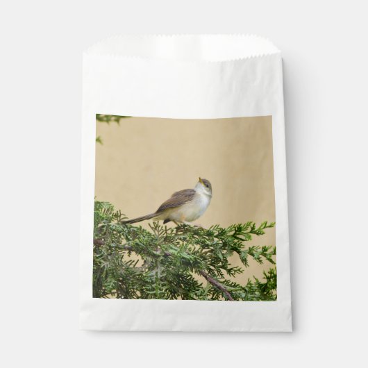 Sparrow Geschenktütchen (Vorderseite)