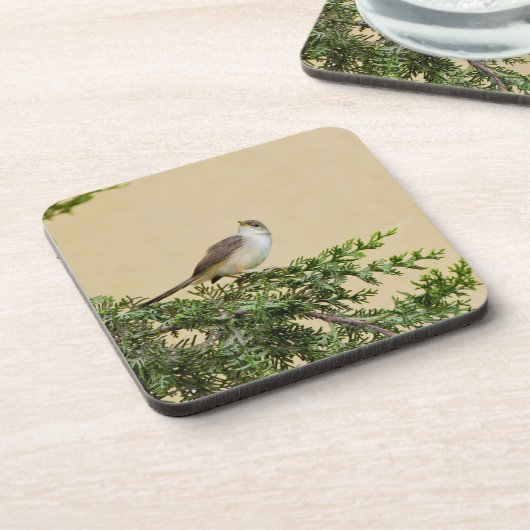 Sparrow Getränkeuntersetzer (Linke Seite)