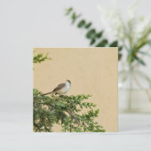 Sparrow Hinweiskarte (Stehend Vorderseite)