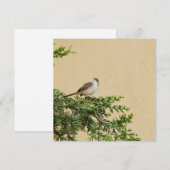 Sparrow Hinweiskarte (Vorne/Hinten)