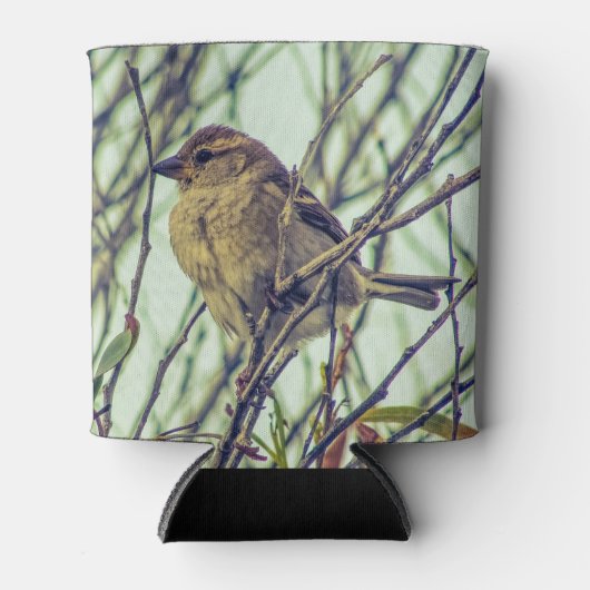 Sparrow im Tree-Foto Dosenkühler (Vorderseite)