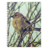 Sparrow im Tree-Foto Notizblock (Vorderseite)