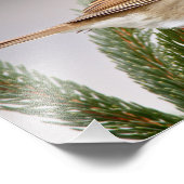 Sparrow im Winter Fotodruck (Ecke)