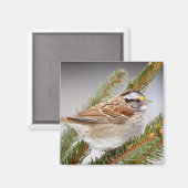 Sparrow im Winter Magnet (Vorderseite/Rückseite)