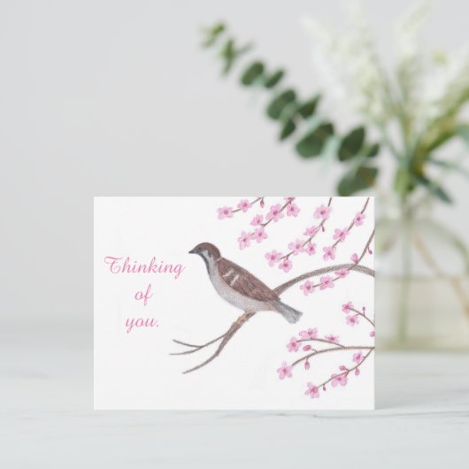 Sparrow in Cherry Blossom Tree Denken Postkarten (Stehend Vorderseite)