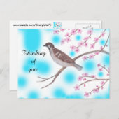 Sparrow in Cherry Blossom Tree Sky Postkarten (Vorne/Hinten)
