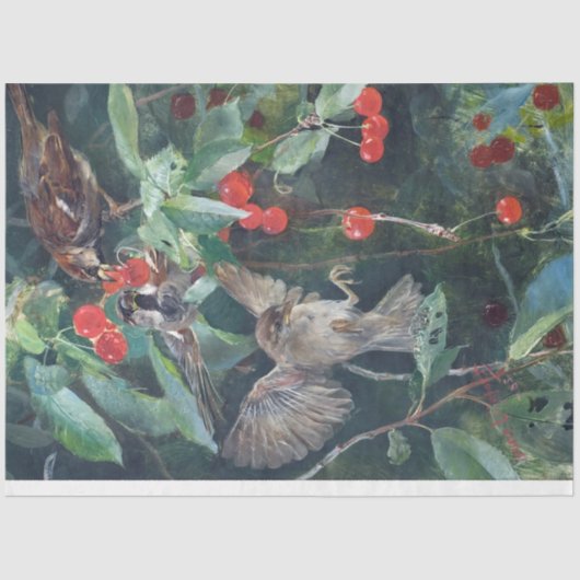Sparrow in einem Kirschbaum, Bruno Liljefors Seidenpapier (Vorderseite)