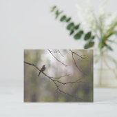 Sparrow in einer Waldlandschaft Postkarte (Stehend Vorderseite)
