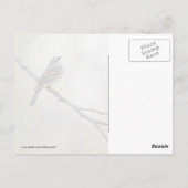 Sparrow in einer Waldlandschaft Postkarte (Rückseite)