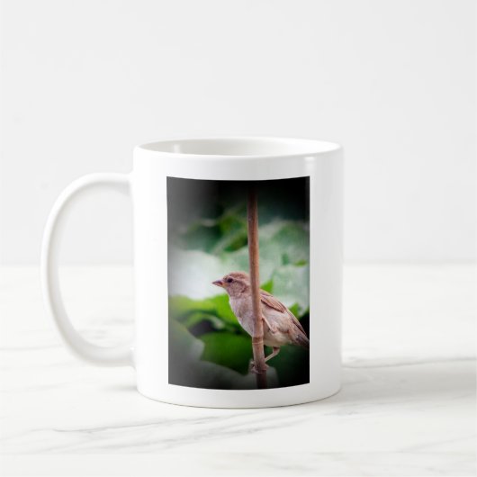 Sparrow Kaffeetasse (Links)