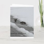 Sparrow Karte (Rückseite)