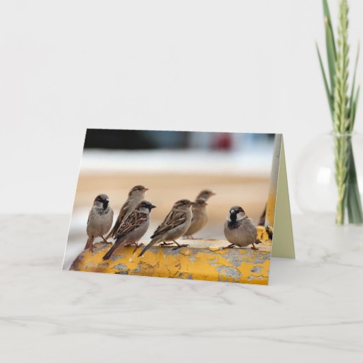 Sparrow Karte (Vorderseite)