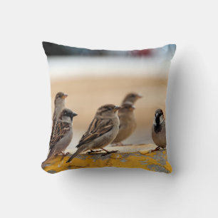 Sparrow Kissen