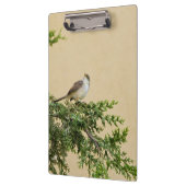 Sparrow Klemmbrett (Links)