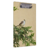 Sparrow Klemmbrett (Rechts)