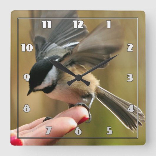 Sparrow landet auf der Hand meiner Ehefrau Quadratische Wanduhr (Vorderseite)