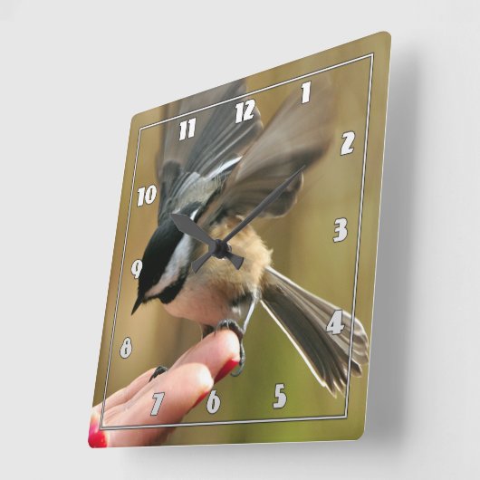 Sparrow landet auf der Hand meiner Ehefrau Quadratische Wanduhr (Winkel)