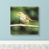 Sparrow Leinwanddruck (Insitu (Holzboden))