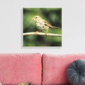 Sparrow Leinwanddruck (Insitu (Wohnzimmer))