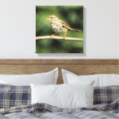 Sparrow Leinwanddruck (Insitu (Schlafzimmer))
