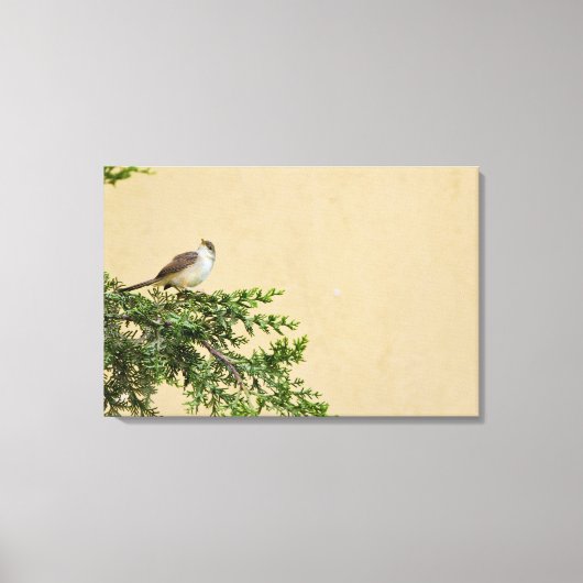 Sparrow Leinwanddruck (Vorderseite)