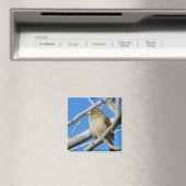 Sparrow Magnet (In Situ (Geschirrspüler))