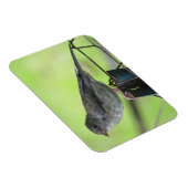 Sparrow Magnet (Rechte Seite)