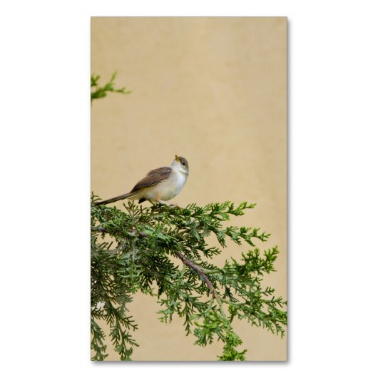 Sparrow Magnetische Visitenkarte (Vorderseite Vertikal)
