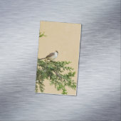 Sparrow Magnetische Visitenkarte (Beispiel)