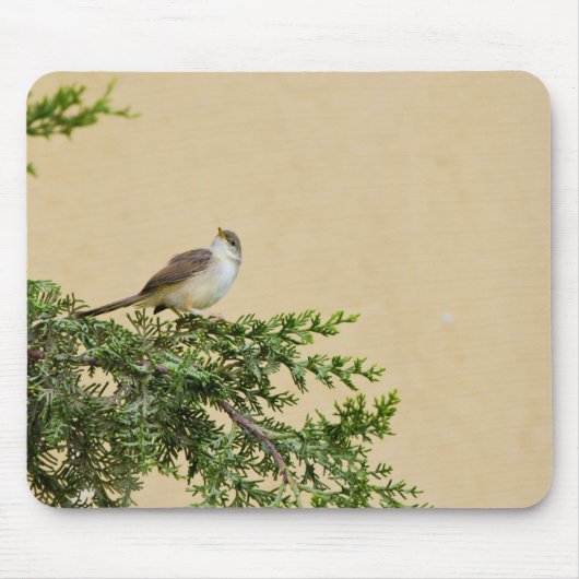 Sparrow Mousepad (Vorne)