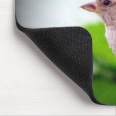 Sparrow Mousepad (Ecke)