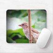Sparrow Mousepad (Mit Mouse)