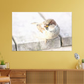 Sparrow - Nach dem transatlantischen Leinwanddruck (Insitu (Wohnzimmer))