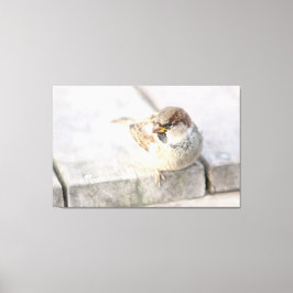 Sparrow - Nach dem transatlantischen Leinwanddruck