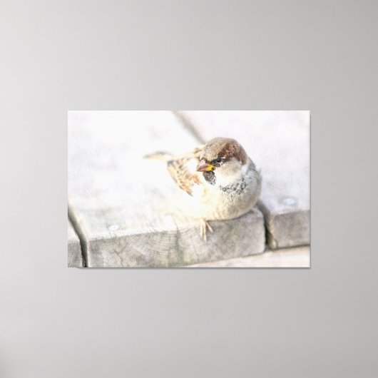 Sparrow - Nach dem transatlantischen Leinwanddruck (Vorderseite)