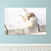 Sparrow - Nach dem transatlantischen Leinwanddruck (Insitu (Holzboden))