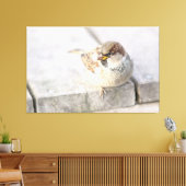 Sparrow - Nach dem transatlantischen Leinwanddruck (Insitu (Wohnzimmer))